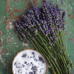 Bio Levanduľa úzkolistá vyobraziť