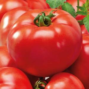 Rajčiak Premium vyobraziť