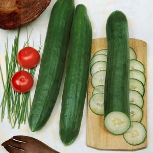 Uhorka siata šalátová Premium vyobraziť