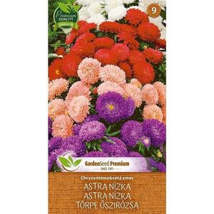 Zmes kvetov nízkej chryzantémy Astra vyobraziť
