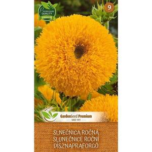 Slnečnica vyobraziť