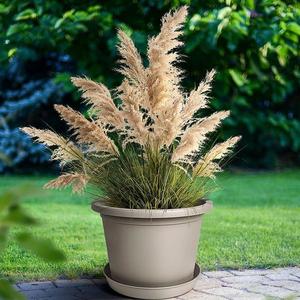 Kvetináč Ø 40x5 cm piesok 4226 vyobraziť