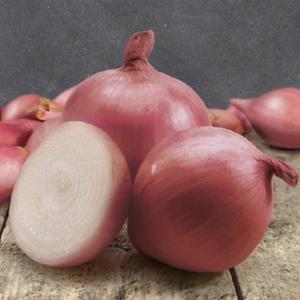 Rosanna Cibuľa sadzačka 250 g ( 8-21MM) vyobraziť