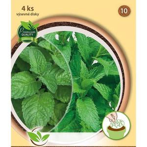 Výsevný disk Čajová zmes vyobraziť