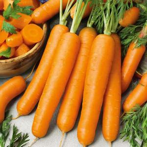 Mrkva Kráska vyobraziť