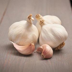 Česnak flavor 250g 45-55mm vyobraziť