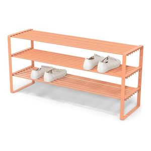 Oceľová skrinka na topánky v lososovej farbe 100x48, 5x29 cm Rex – Spinder Design vyobraziť