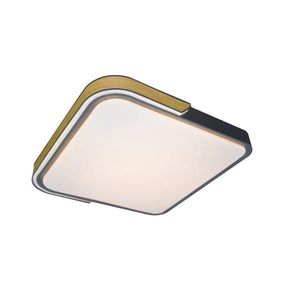 Rabalux STROPNÉ LED SVIETIDLO, 42/8, 5/42 cm vyobraziť