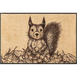 ROHOŽKA, 50/75 cm viacfarebná vyobraziť