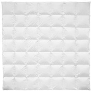 Billerbeck CELOROČNÁ PRIKRÝVKA, 200/200 cm, páperie vyobraziť