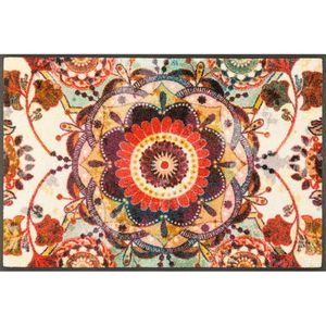 ROHOŽKA, 50/75 cm viacfarebná vyobraziť