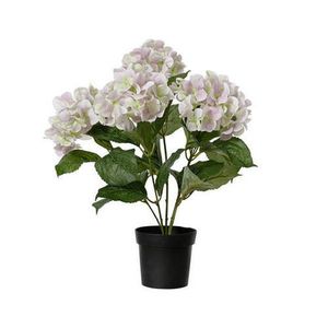 HORTENZIA 46 cm vyobraziť