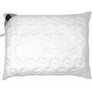 Billerbeck VANKÚŠ POD HLAVU, 40/60 cm vyobraziť