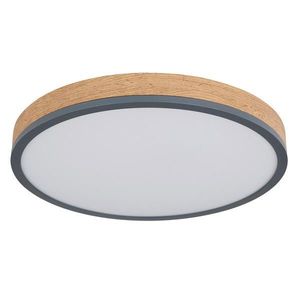 Globo STROPNÉ LED SVIETIDLO, 45/8, 5 cm vyobraziť