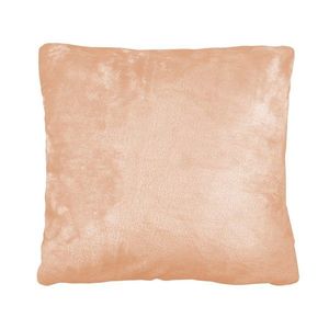 Polášek Poťah na vankúš z mikroplyšu - Šampáň | 40 x 40 cm vyobraziť