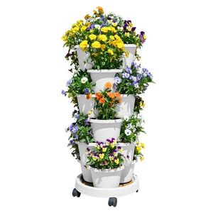 rastlina / biela vyobraziť