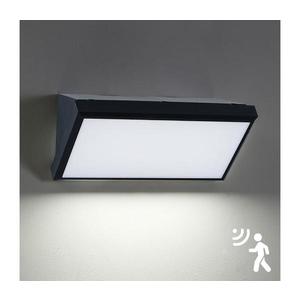 Brilagi - LED Vonkajšie nástenné svietidlo so senzorom TRIANGLE LED/20W/230V čierna BRI068 vyobraziť