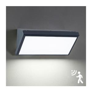 Brilagi - LED Vonkajšie nástenné svietidlo so senzorom TRIANGLE LED/20W/230V antr. BRI069 vyobraziť