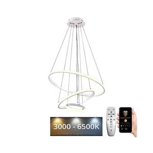 Brilagi - LED stmievateľný luster na lankách CIRCLE LED/90W/230V 3000-6500K + DO BG-J4301/W vyobraziť