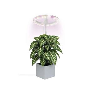 LED Stmievateľná interiérová lampa na pestovanie rastlín GROW LED/8W/5V Z7902 vyobraziť