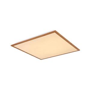 Globo 416080D2W - LED Stropné svietidlo DORO LED/24W/230V 416080D2W vyobraziť