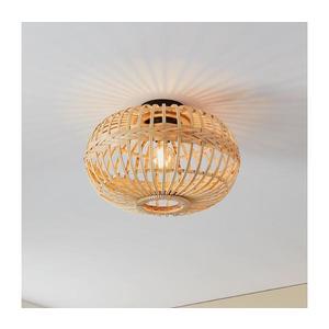 Eglo 43723 - Stropné svietidlo AMSFIELD 1xE27/40W/230V 43723 vyobraziť