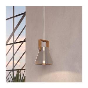 Eglo 43951 - Luster na lanku CAWTON 1xE27/40W/230V 43951 vyobraziť
