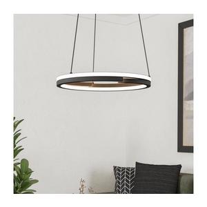 Eglo 901822 - stmievateľný LED luster na lankách MEZZOMONTE 2xLED/20W/230V čierny + diaľkové ovládanie 901822 vyobraziť