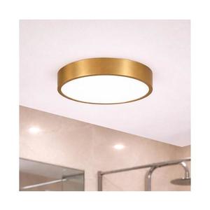 Brilagi - LED kúpeľňové stropné svietidlo POOL LED/24W/230V pr. 30 cm IP54 bronz FG-R300-24W-BR vyobraziť