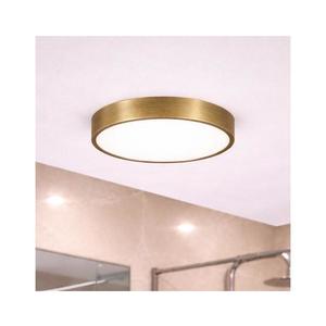 Brilagi - LED kúpeľňové stropné svietidlo POOL LED/24W/230V pr. 30 cm IP54 mosadz FG-R300-24W-AB vyobraziť