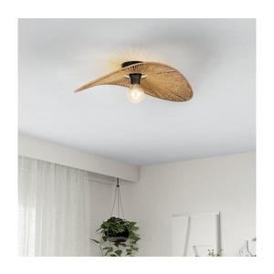 Eglo 31961 - Stropné svietidlo SIRUELA 1xE27/42W/230V hnedá/čierna 31961 vyobraziť