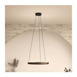 Eglo 390451 - LED stmievateľný luster na lanku TRABUCO 2xLED/19W/230V 2200-6500K hnedá 390451 vyobraziť