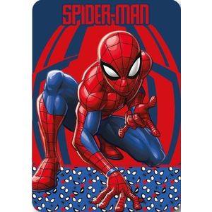 Dětská fleecová deka Polar - výber z 35 prevedení vyobraziť