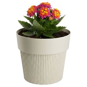 Květináč SILVA LINE 11, 5x13, 2 cm béžový vyobraziť