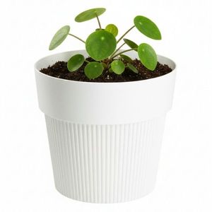 Květináč Silva Line 11, 5x13, 2 cm krémový vyobraziť