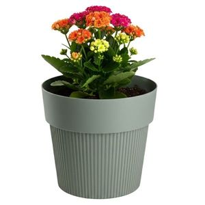 Květináč Silva Line 11, 5x13, 2 cm šedo-zelený vyobraziť