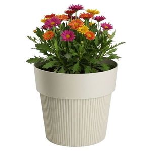 Květináč SILVA LINE 12, 7x14, 5 cm béžový vyobraziť