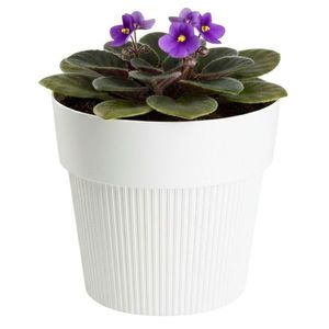 Květináč SILVA LINE 12, 7x14, 5 cm krémově bílý vyobraziť