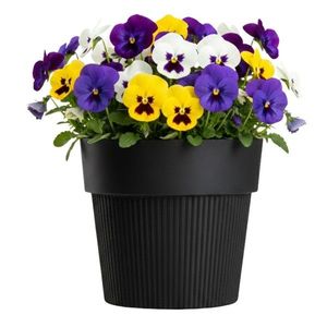 Květináč SILVA LINE 12, 7x14, 5 cm černý vyobraziť