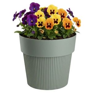 Květináč Silva Line 13, 8x16 cm šedo-zelený vyobraziť