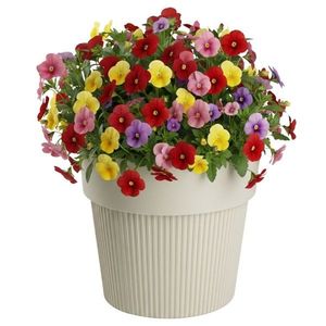 Květináč SILVA LINE 17, 4x20 cm béžový vyobraziť