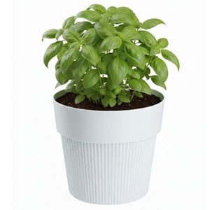 Květináč SILVA LINE 17, 4x20 cm bílý vyobraziť