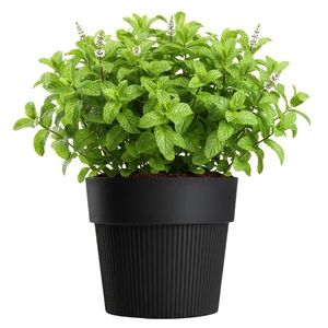 Květináč SILVA LINE 17, 4x20 cm černý vyobraziť