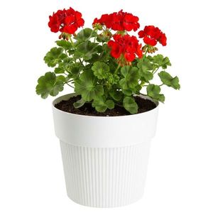 Květináč Silva Line 17, 4x20 cm krémový vyobraziť