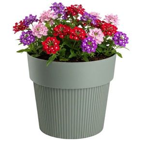 Květináč Silva Line 17, 4x20 cm šedo-zelený vyobraziť