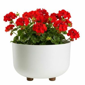 Plastový květináč na nožičkách TERRA 17x26, 9 cm - výber z 5 prevedení vyobraziť