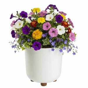 Plastový květináč na nožičkách Terra 21x19, 3 cm - výber z 6 prevedení vyobraziť