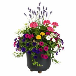 Plastový květináč na nožičkách Terra - výber z 6 prevedení vyobraziť