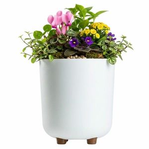 Plastový květináč na nožičkách Terra - výber z 6 prevedení vyobraziť
