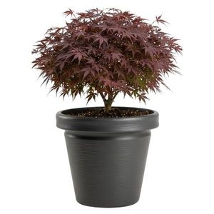 Plastový květináč Riflo 40x46 cm antracitový vyobraziť